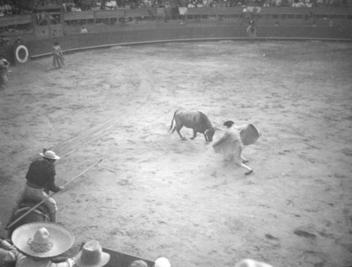 Toro versus Torero, El Toreo de Tijuana