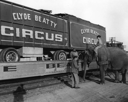 Circus arrives by train