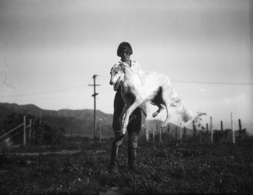 Training Borzoi dogs, view 1