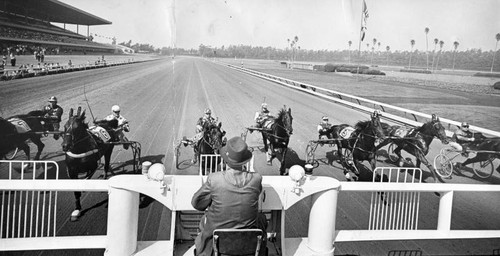 Hollywood park harness racing