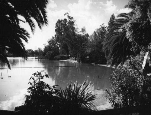 Float divider across Lincoln Park Lake