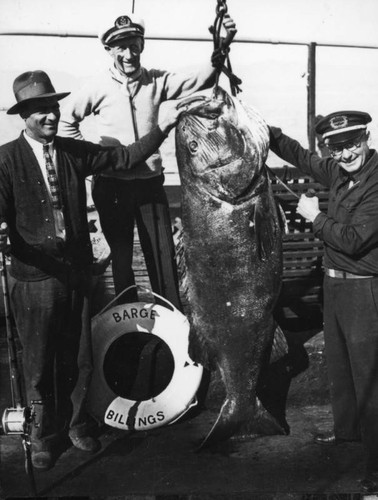 Large jawfish caught off barge