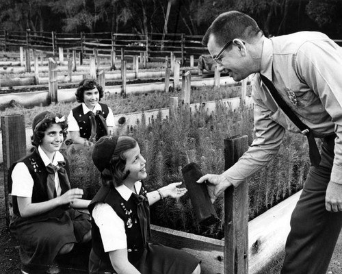 Camp Fire Girls visit forestry nursery