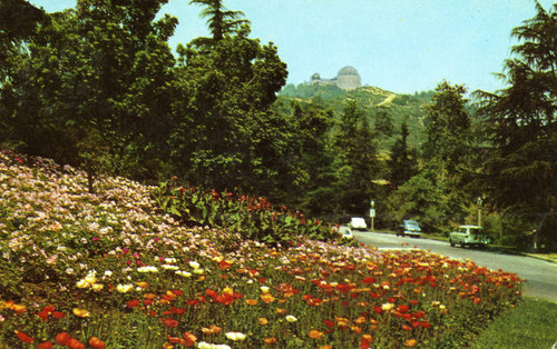 Fern Dell Drive into Griffith Park