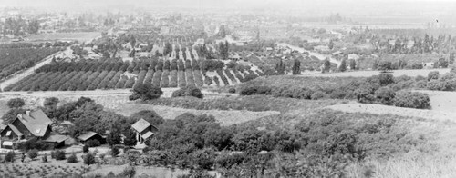 Glendale panorama