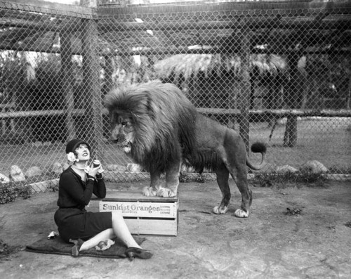 Young woman and a lion