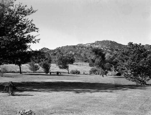 Frog Mountain, Chatsworth