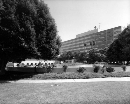 Parker Center Landscape