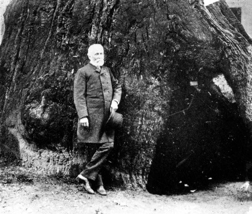 John C. Fremont with tree