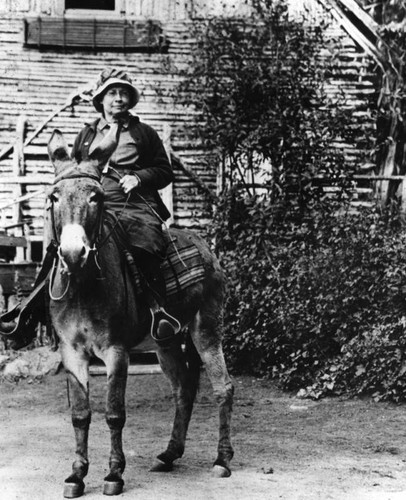 Woman sitting on donkey