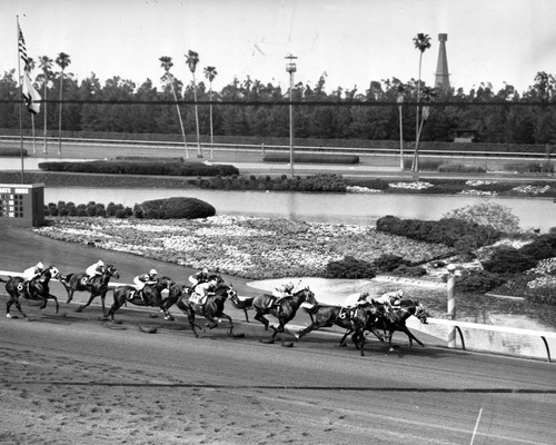 Heading for the first turn at Hollywood Park