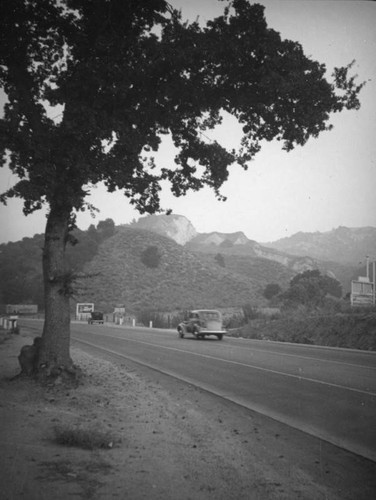 Billboards along US 99