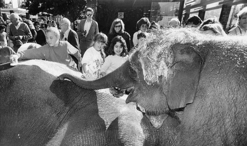 Kids soap up elephants at an Eagle Rock car wash