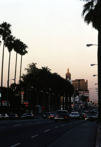 Sunset Boulevard during sunset — Calisphere