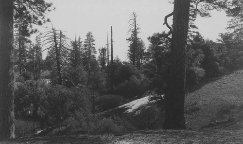 San Gabriel Mountains