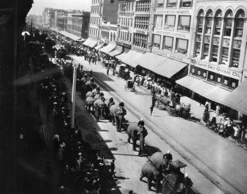 Pachyderm parade on Broadway