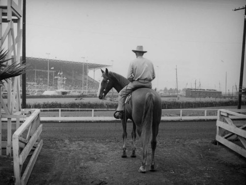 Harness racing at the Los Angeles County Fair