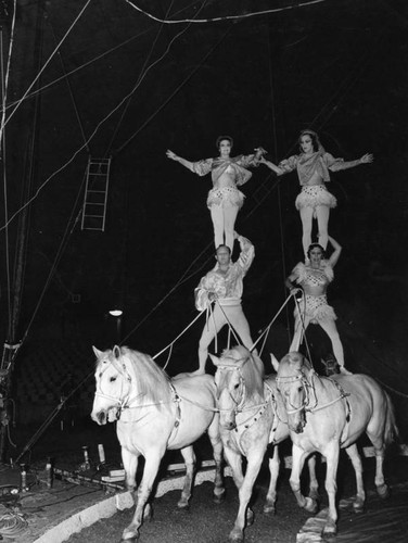 Astride circus horses