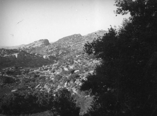 Santa Susana Pass through the trees