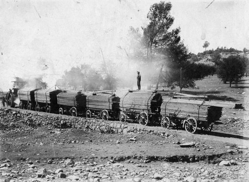 Logging train