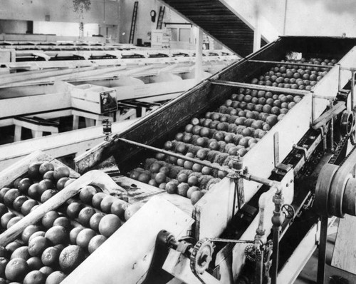 West Covina fruit processing plant