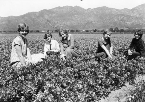 San Fernando Valley farm