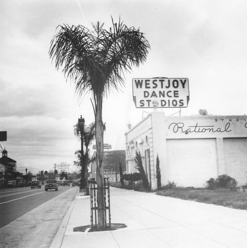 8800 block of Wilshire Boulevard, view 1