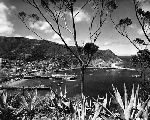 Panoramic view of Avalon Bay and The Catalina Casino