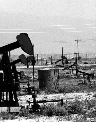 Oil field of "Grasshopper's"