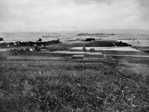 View of Hollywood agriculture