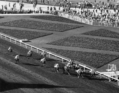 Crowds at Santa Anita Racetrack