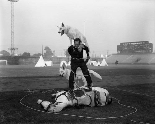 All American Indian Week at Wrigley Field