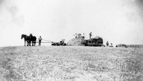 Working in the hay field