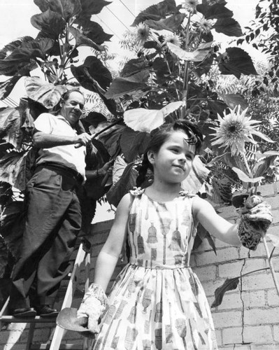 It's Wendy in the sunflower patch