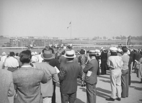 Horse race at Hollywood Park