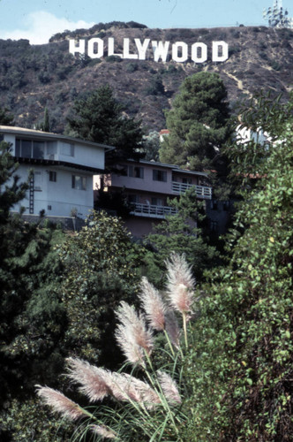 Hollywood Sign