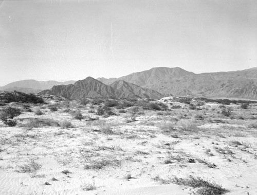 Mt. San Jacinto view, Palm Springs