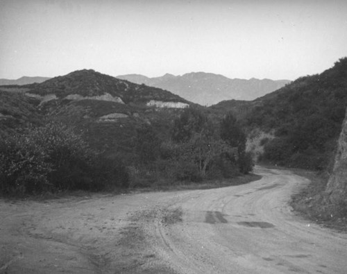 Mountain path in the Annandale Estates