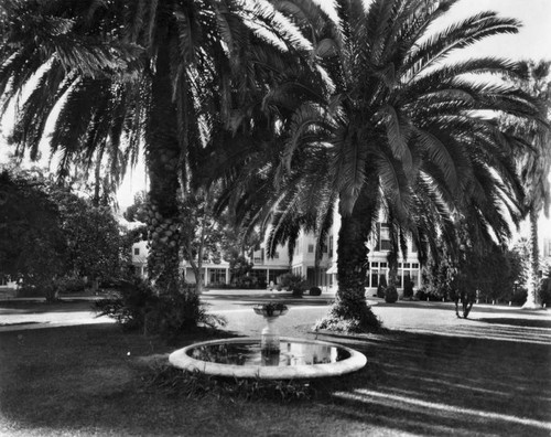 Courthouse grounds