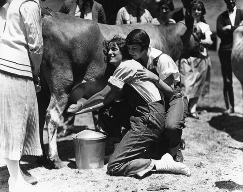 Cow milking competition