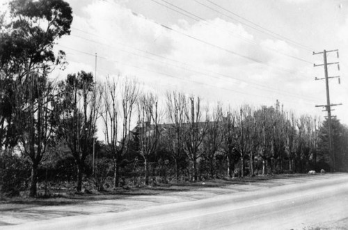 La Lomita Ranch, Palms