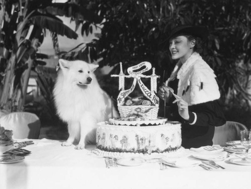 A dog's birthday, view 8