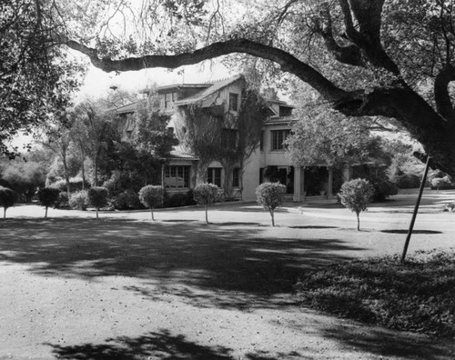 English Oaks, Arcadia