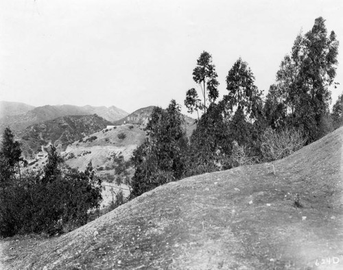 Bryn Mawr Hills, Hollywood