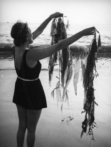 Ethel with kelp