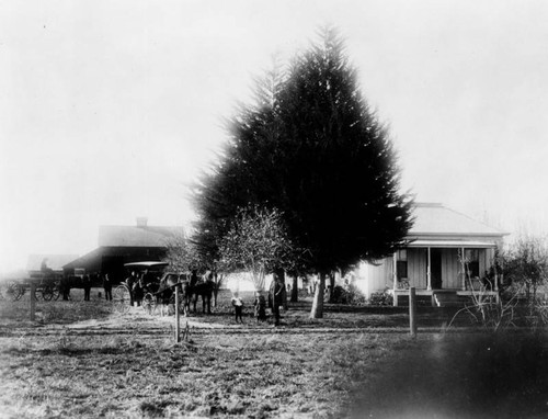 Farmhouse in Lynwood