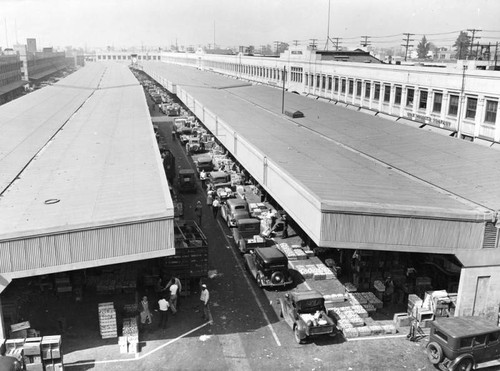 Overview of the Produce Market