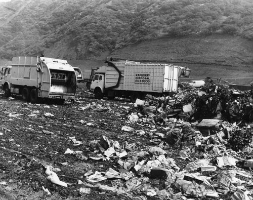 Dump trucks at the disposal facilities