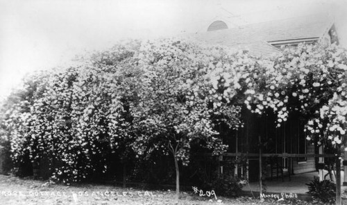 Rose-covered home