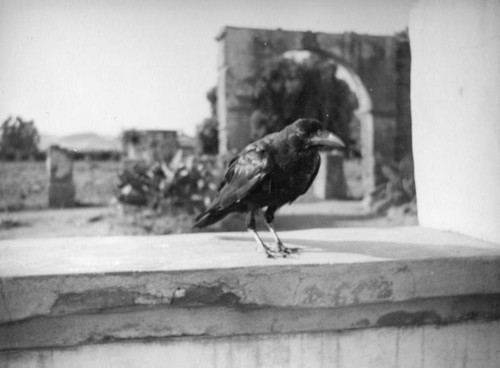 Crow and carriage arch, Mission San Luis Rey, Oceanside